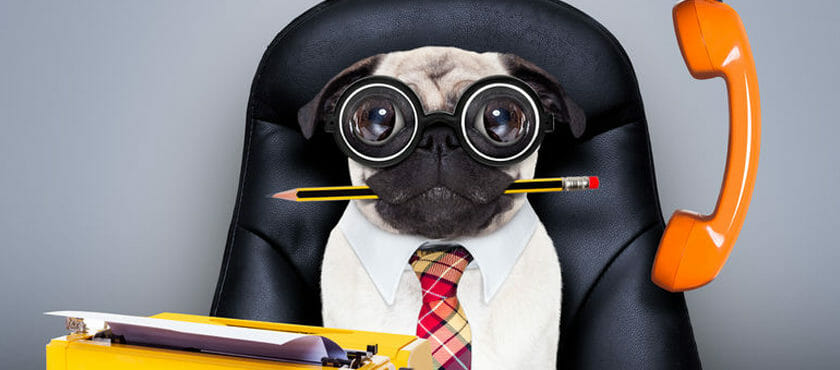 Are accountants really so boring? Are accountants really so boring?