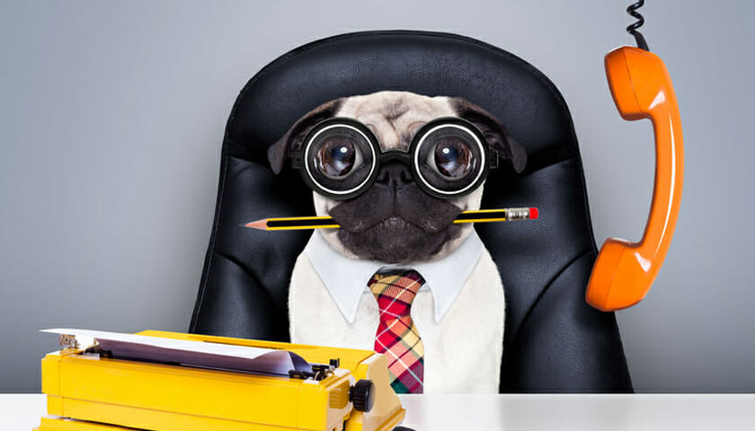 Accountancy firm