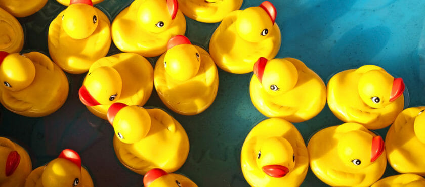 Starting a new business? Time to get your ducks in row Starting a new business? Time to get your ducks in row