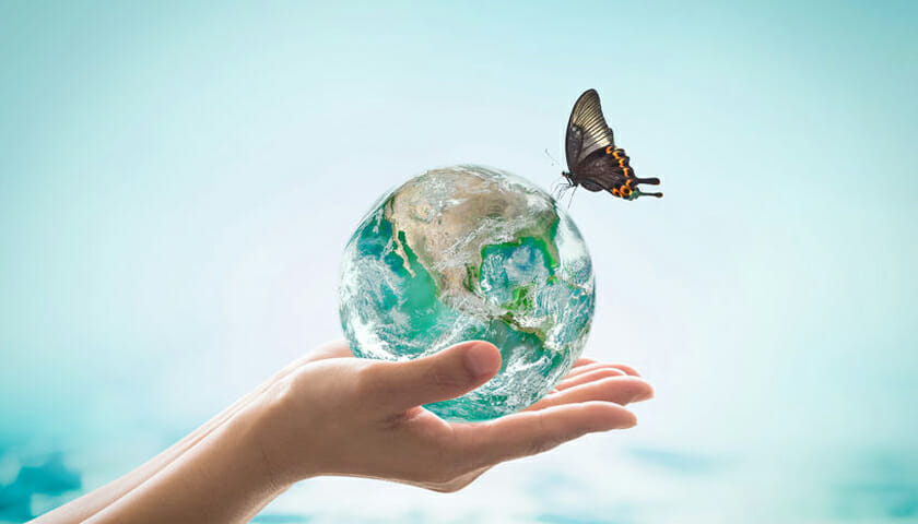 sme environmental impact