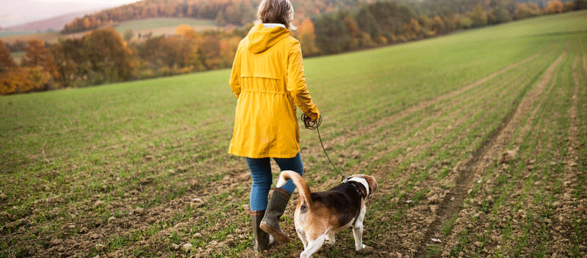 Coronavirus update 24 March (2): UK lockdown – what you can and can’t do Coronavirus update 24 March (2): UK lockdown – what you can and can’t do