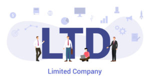 Limited company business structure