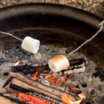 Marshmallows and VAT: when size matters