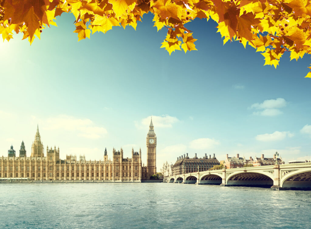 autumn leaves and Big Ben, London Big Ben in London