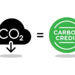 VAT rules on carbon credits